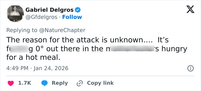 Tweet discussing unknown reason for snow leopard attack on skier, mentioning cold weather and animal's hunger for a hot meal. Tweet discussing unknown reason for snow leopard attack on skier, mentioning cold weather and animal's hunger for a hot meal.