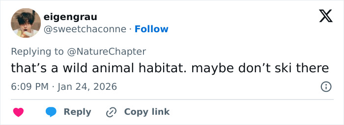 Tweet warning about wild animal habitat with a caution not to ski there, related to snow leopard attack video. Tweet warning about wild animal habitat with a caution not to ski there, related to snow leopard attack video.