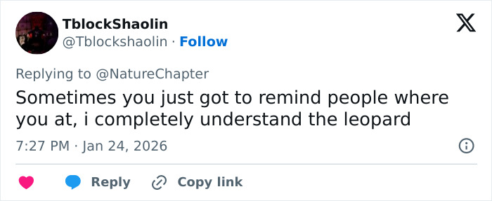 Tweet text on social media by user TblockShaolin commenting on a skier attacked by a snow leopard after attempting a selfie. Tweet text on social media by user TblockShaolin commenting on a skier attacked by a snow leopard after attempting a selfie.