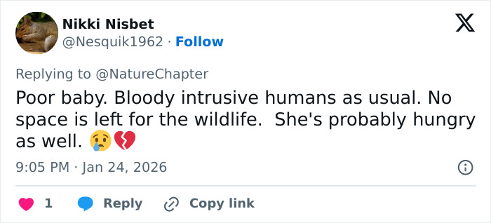Tweet commenting on wildlife intrusion with a concerned emoji, discussing skier attacked by snow leopard viral video incident. Tweet commenting on wildlife intrusion with a concerned emoji, discussing skier attacked by snow leopard viral video incident.