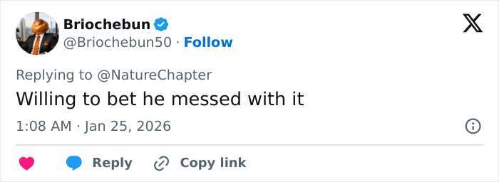Tweet reply on social media about a viral video showing a skier attacked by a snow leopard while trying to take a selfie. Tweet reply on social media about a viral video showing a skier attacked by a snow leopard while trying to take a selfie.