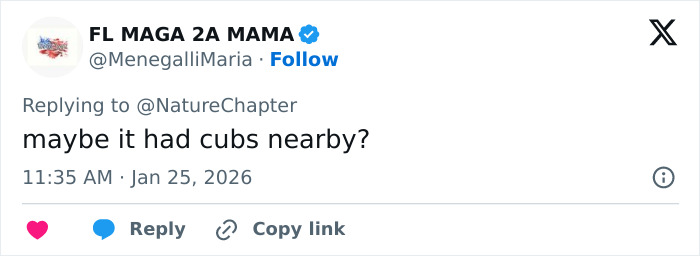 Screenshot of a tweet discussing a possible reason for a skier being attacked by a snow leopard near cubs. Screenshot of a tweet discussing a possible reason for a skier being attacked by a snow leopard near cubs.