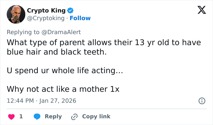 Tweet criticizing parenting choices, mentioning a 13-year-old with blue hair and black teeth amid parenting controversy.