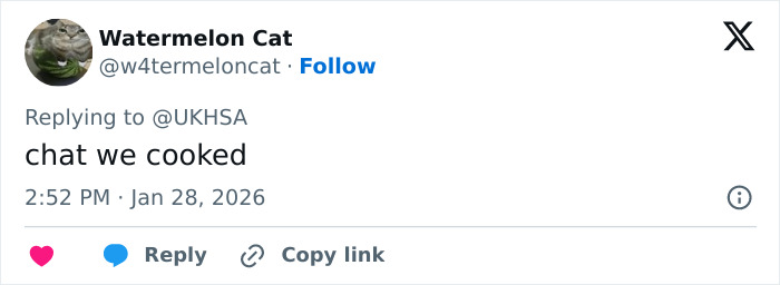 Tweet by user Watermelon Cat responding to UKHSA with the message chat we cooked at 2:52 PM on January 28, 2026.