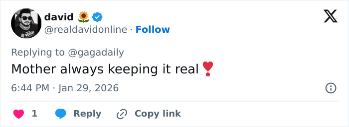 Tweet screenshot from david praising Lady Gaga, highlighting her bold ICE speech and authenticity during concert moment. Tweet screenshot from david praising Lady Gaga, highlighting her bold ICE speech and authenticity during concert moment.