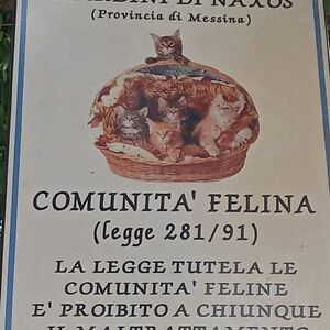 traceyattwood avatar