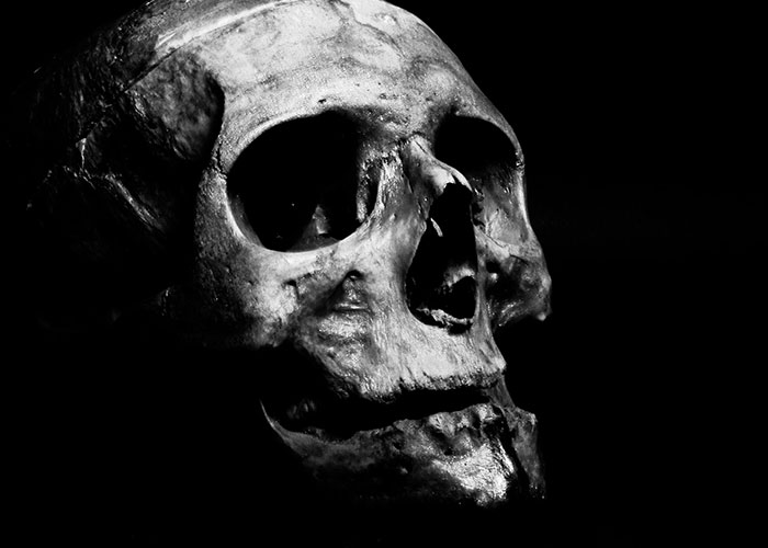 Close-up of an eerie human skull in dim light, illustrating wacky stories shared by people hoping for belief.