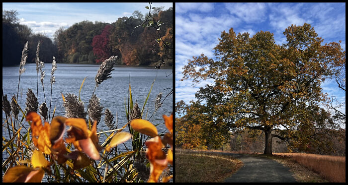 Eric Carpenter’s Photo Journey Through The Lens Of A Daily Walk