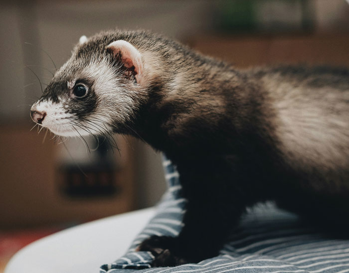 58 Times People Were So Smart It Was Borderline Creepy