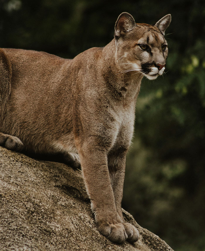 58 Times People Were So Smart It Was Borderline Creepy