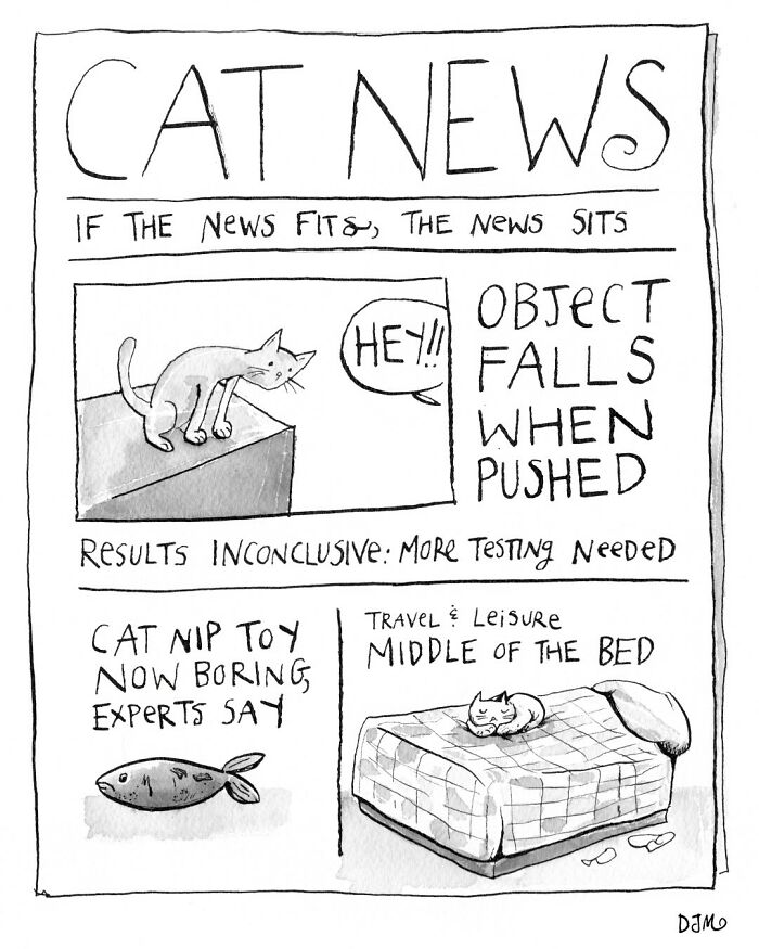 Comic by Dana Jeri Maier showing humorous cat news headlines about objects falling and boring cat toys in modern life.