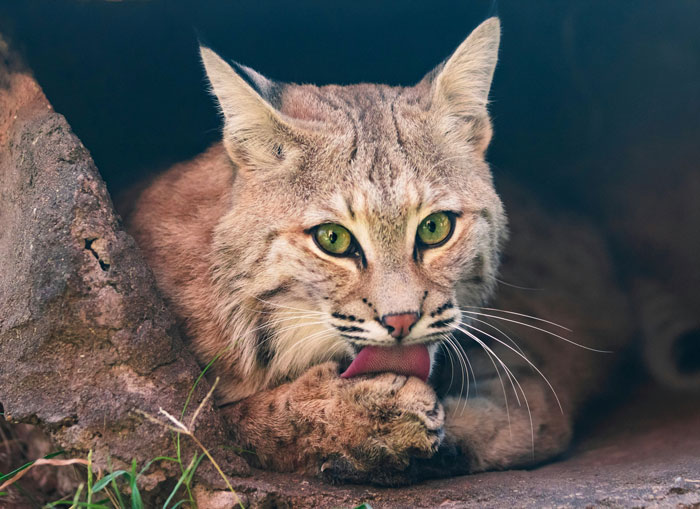 57 Times People Went To A Friend’s House And Instantly Realized “Oh… This Family Is Different”