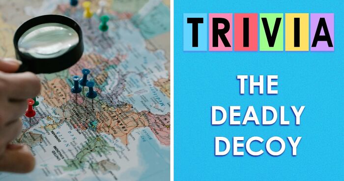 These 26 Odd-One-Out Questions Are Designed To Trick Your Mind – Try To Outsmart Them