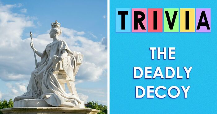 These 26 Odd-One-Out Questions Are Designed To Trick Your Mind – Try To Outsmart Them