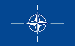 These 26 Odd-One-Out Questions Are Designed To Trick Your Mind – Try To Outsmart Them