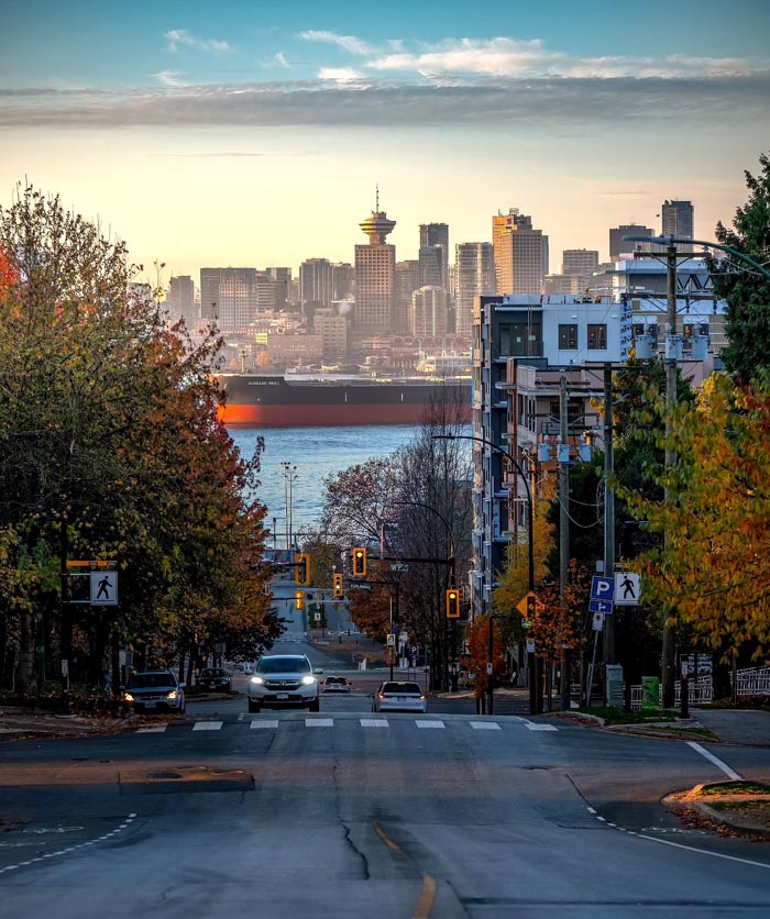 Cityscape view with cars on road and autumn trees, illustrating countries that sleep the most from OECD time use data.