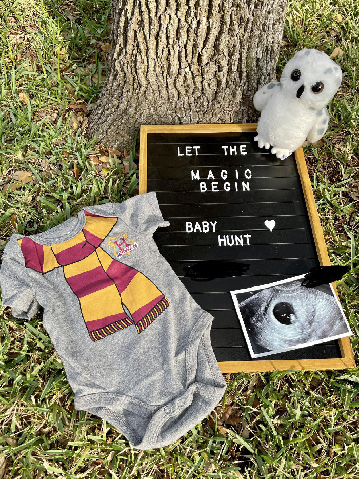 Outdoor maternity photoshoot setup with baby onesie, ultrasound image, owl plush and letterboard reading let the magic begin