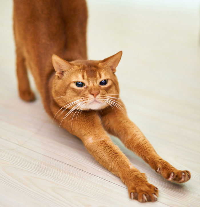 58 Times People Were So Smart It Was Borderline Creepy