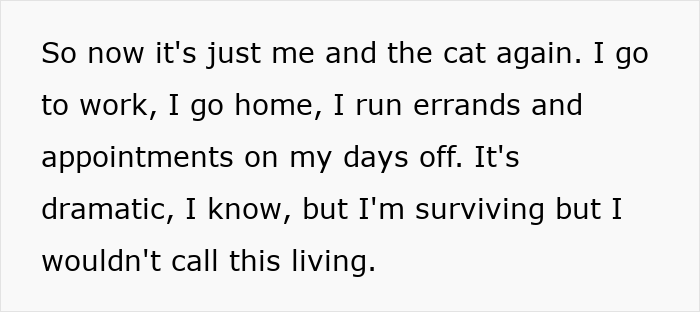 Text describing a dad's life falling apart after being accused of horrific things by his own kids, expressing survival but no real living.