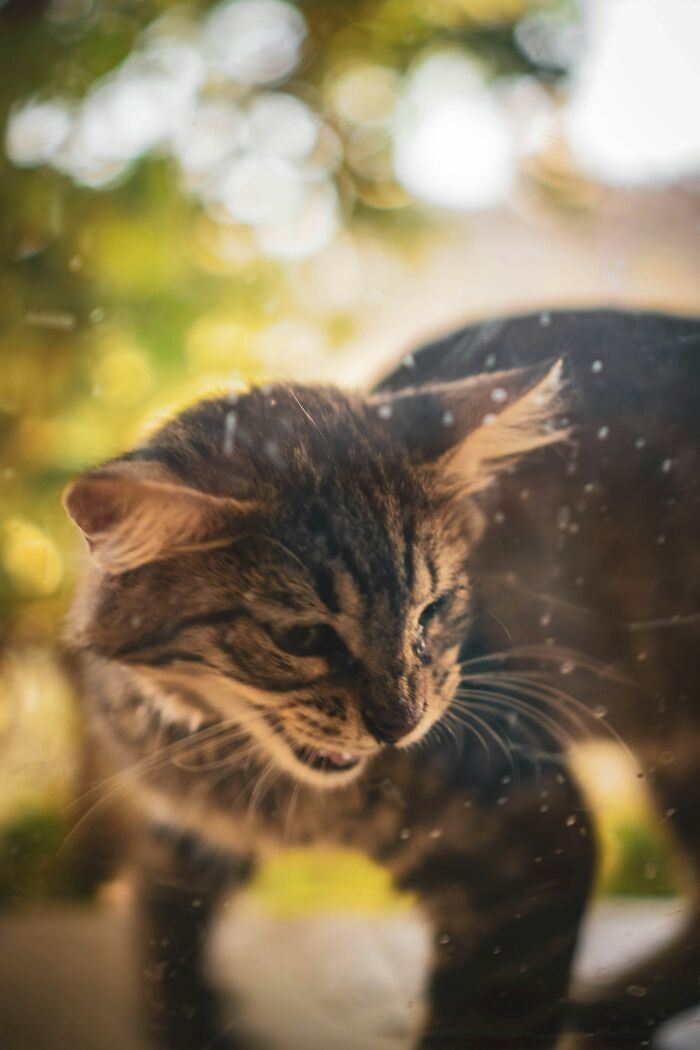 28 Hilarious Things Toddlers Said, As Shared By Our Community