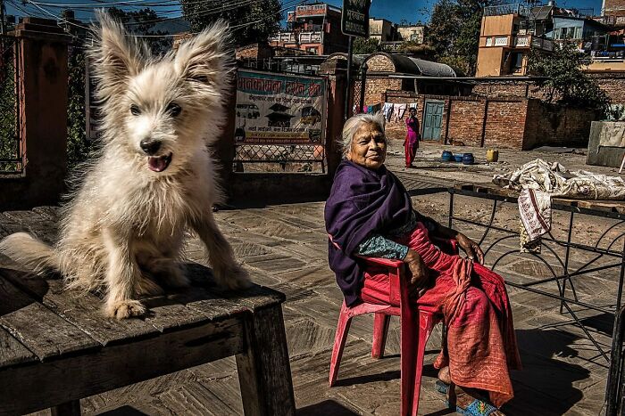 Candid street photo of an elderly woman sitting outdoors with a fluffy dog capturing tender moments and humanity.