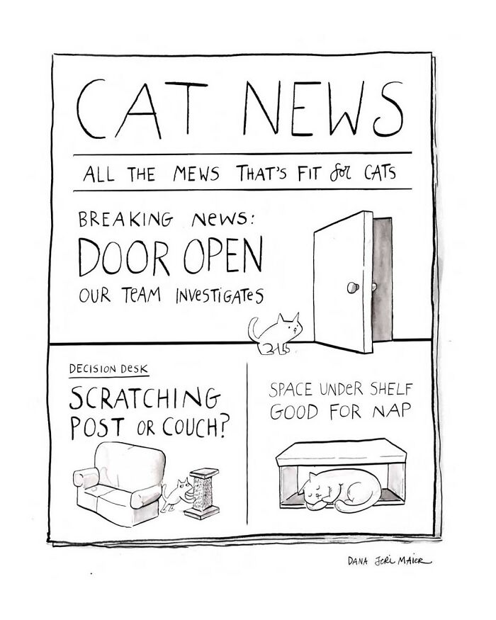 Comic by Dana Jeri Maier showing cats investigating an open door, scratching posts, and napping spots in a humorous modern life style.