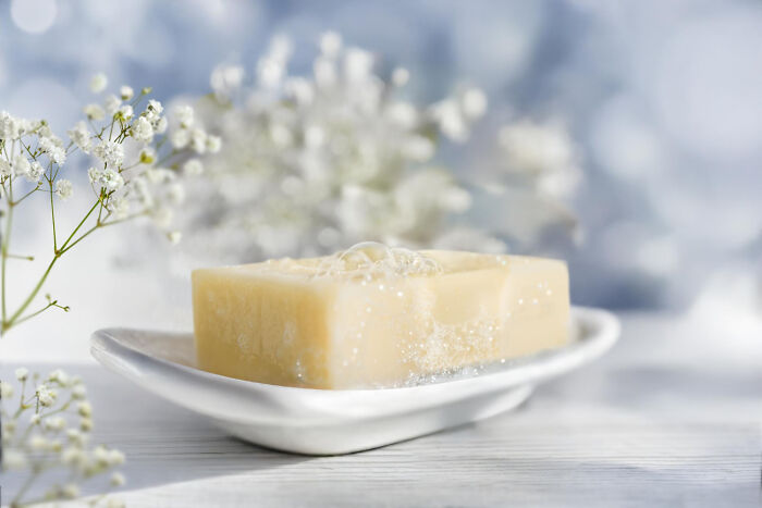 Bar of soap with bubbles on a dish, capturing satisfying moments in weird and iconic situations not my problem anymore.