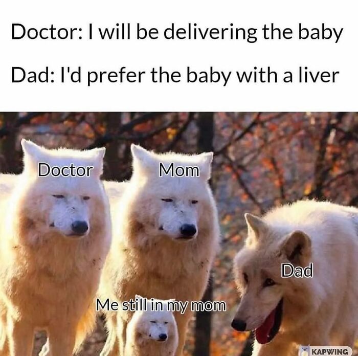 Four wolves labeled doctor, mom, dad, and me still in my mom, illustrating a meme explained by a meme account.