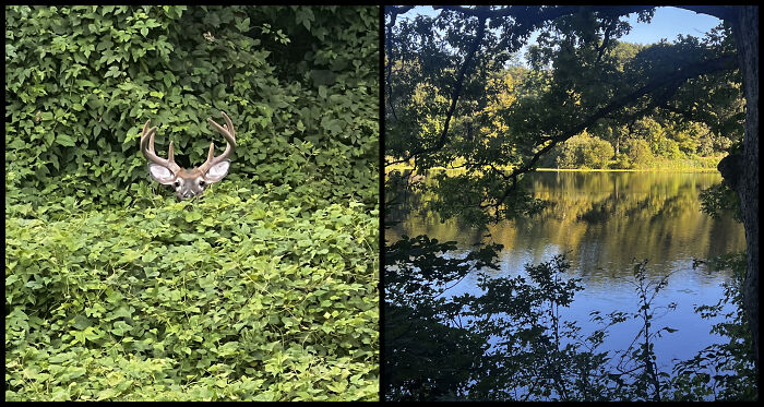 Eric Carpenter’s Photo Journey Through The Lens Of A Daily Walk