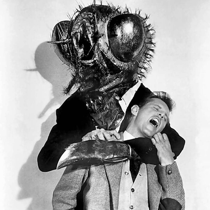 Black and white creepy vintage photo of a man being grabbed by a giant fly creature in an odd and eerie scene.