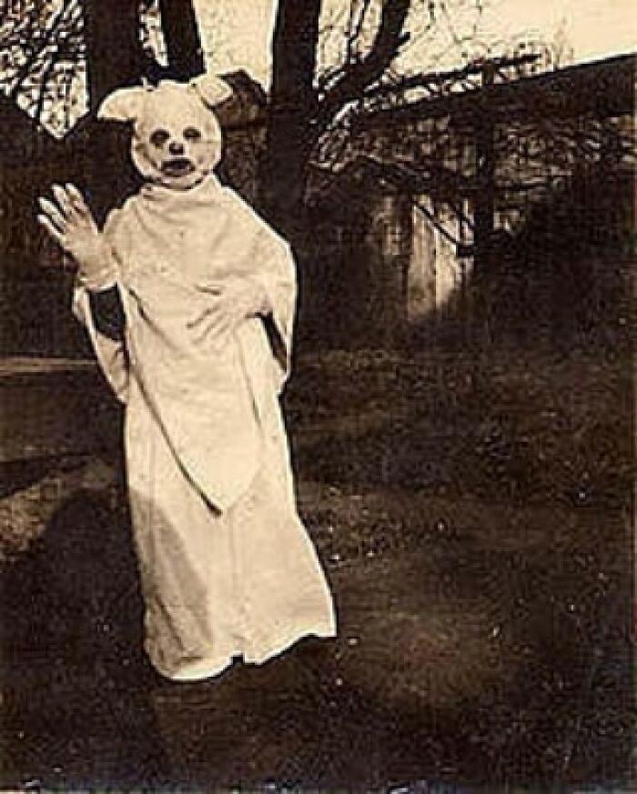 Person wearing an old black and white creepy dog mask costume standing outdoors among leafless trees.