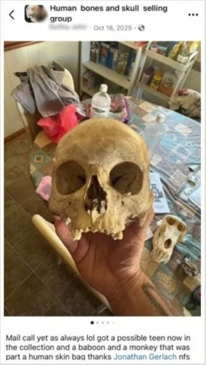 Hand holding a skull with human bones and skulls for sale, linked to chilling house and horrifying discovery keywords. Hand holding a skull with human bones and skulls for sale, linked to chilling house and horrifying discovery keywords.