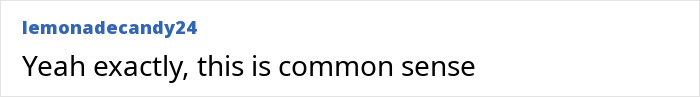 Text comment from user lemonadecandy24 saying, Yeah exactly, this is common sense, in a plain digital interface.