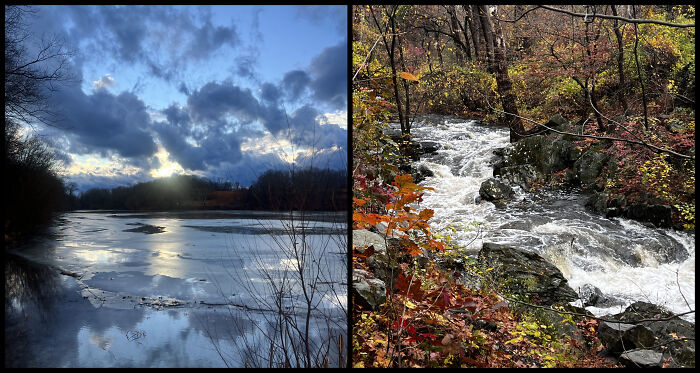 Eric Carpenter’s Photo Journey Through The Lens Of A Daily Walk