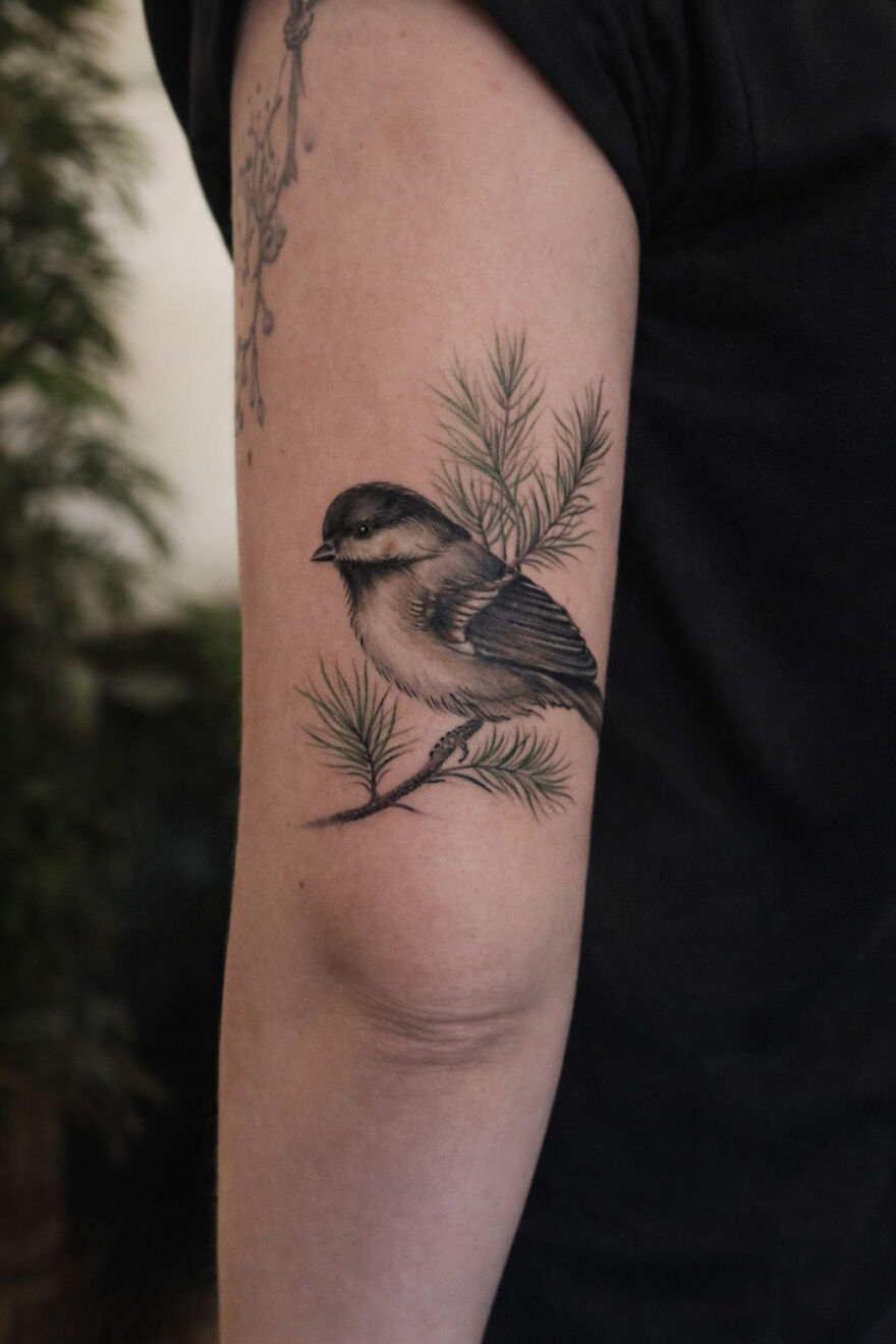 The Timeless Bird Tattoos Of Tara Morgan