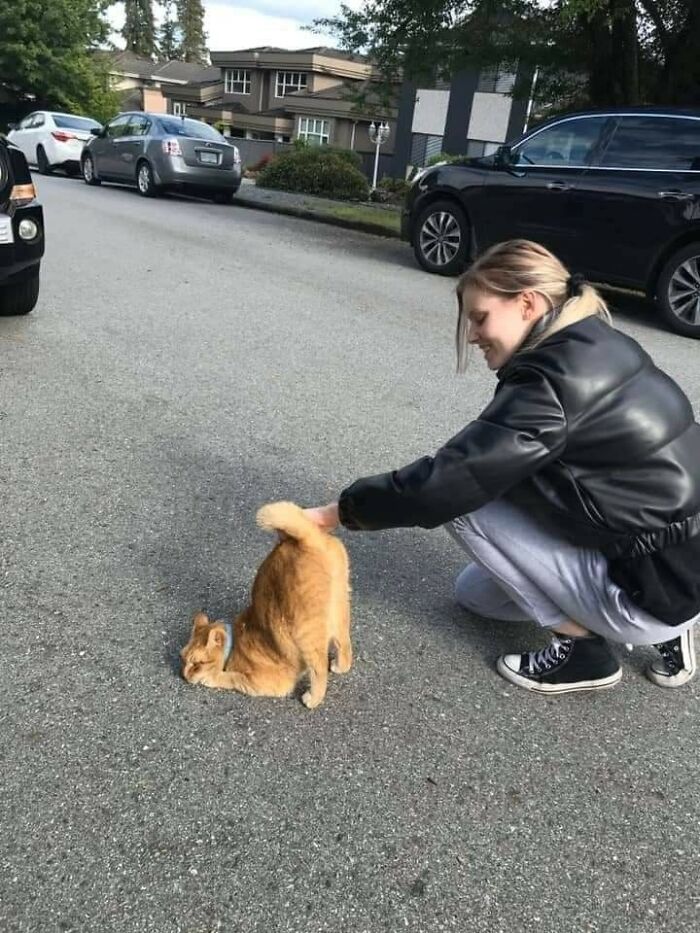 Woman crouching and smiling while a cat playfully folds its head on the pavement in a hilarious animal moment caught on camera.