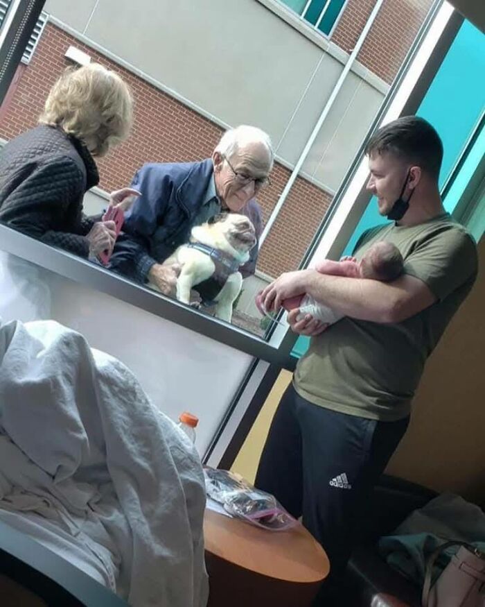 Elderly couple holding a funny and cute dog outside a hospital window while a man inside holds a newborn baby.