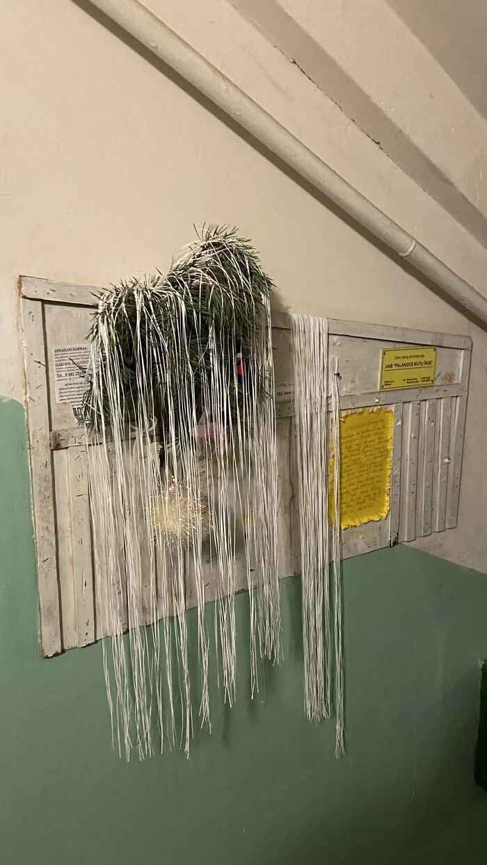 Pine branches with long white string decorations hanging on a worn wooden board in a Lithuanian apartment building.