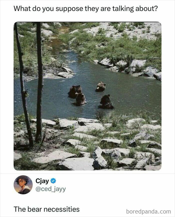 Four bears sitting in a river with a funny internet post caption, making scrolling more enjoyable on social media.