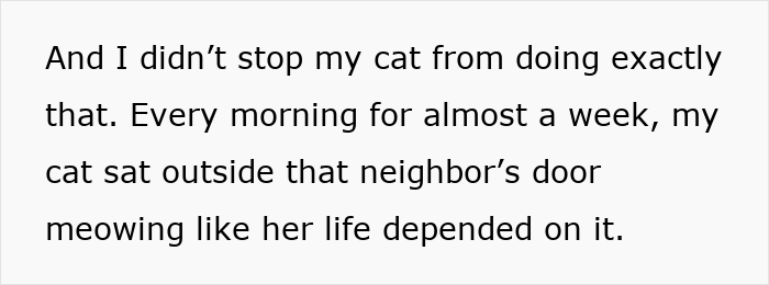 Woman Ignores Warnings About Not Feeding The Neighbors Cat, Learns Her Lesson The Hard Way