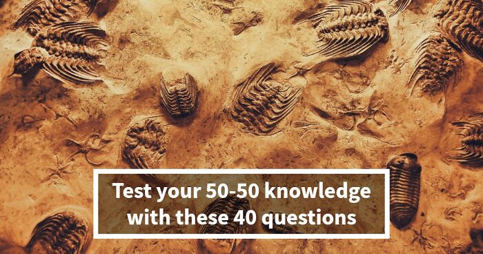 40 General Knowledge Questions Where Every Answer Is 50-50 – Good Luck