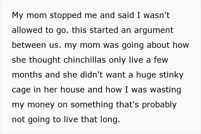 Alt text: Teen argues with mom over proper chinchilla care and providing a good life beyond the bare minimum