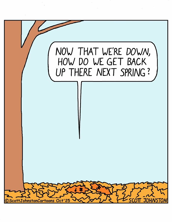 Humorous comic by Scott Johnston showing leaves on the ground wondering how to get back up the tree next spring.