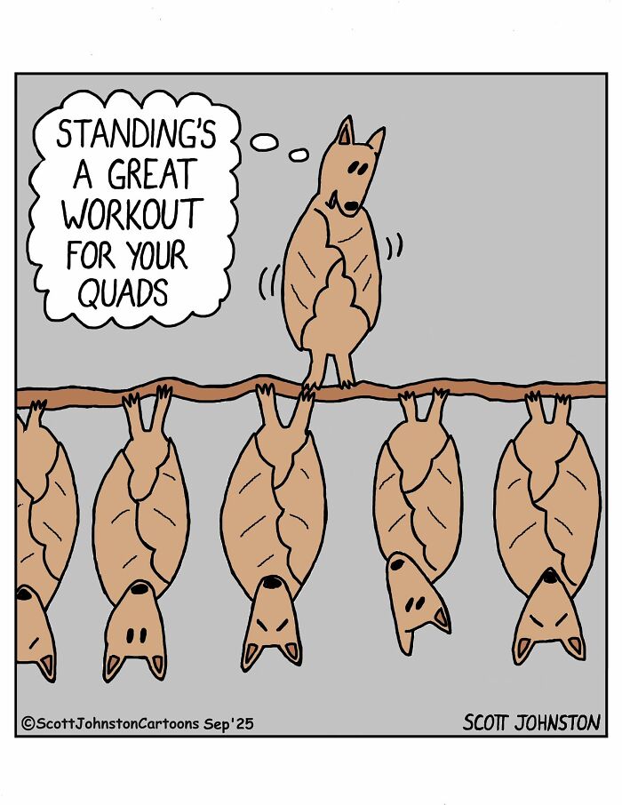 Cartoon by Scott Johnston showing a dog standing on a branch with bats hanging upside down, humorous comic style.