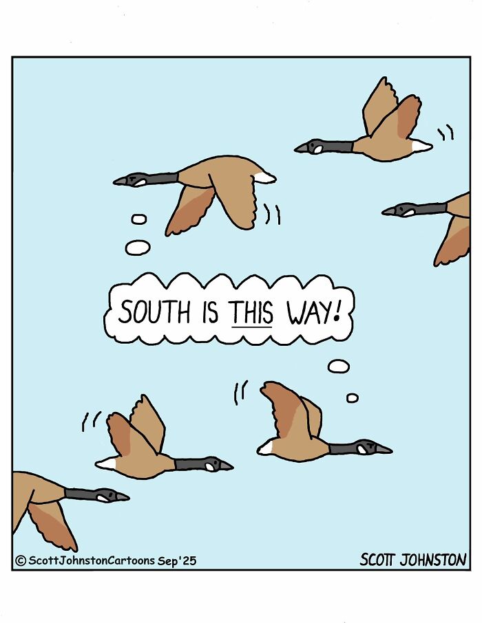 Cartoon of flying geese with one thinking south is this way, humor from Scott Johnston’s latest comics collection.