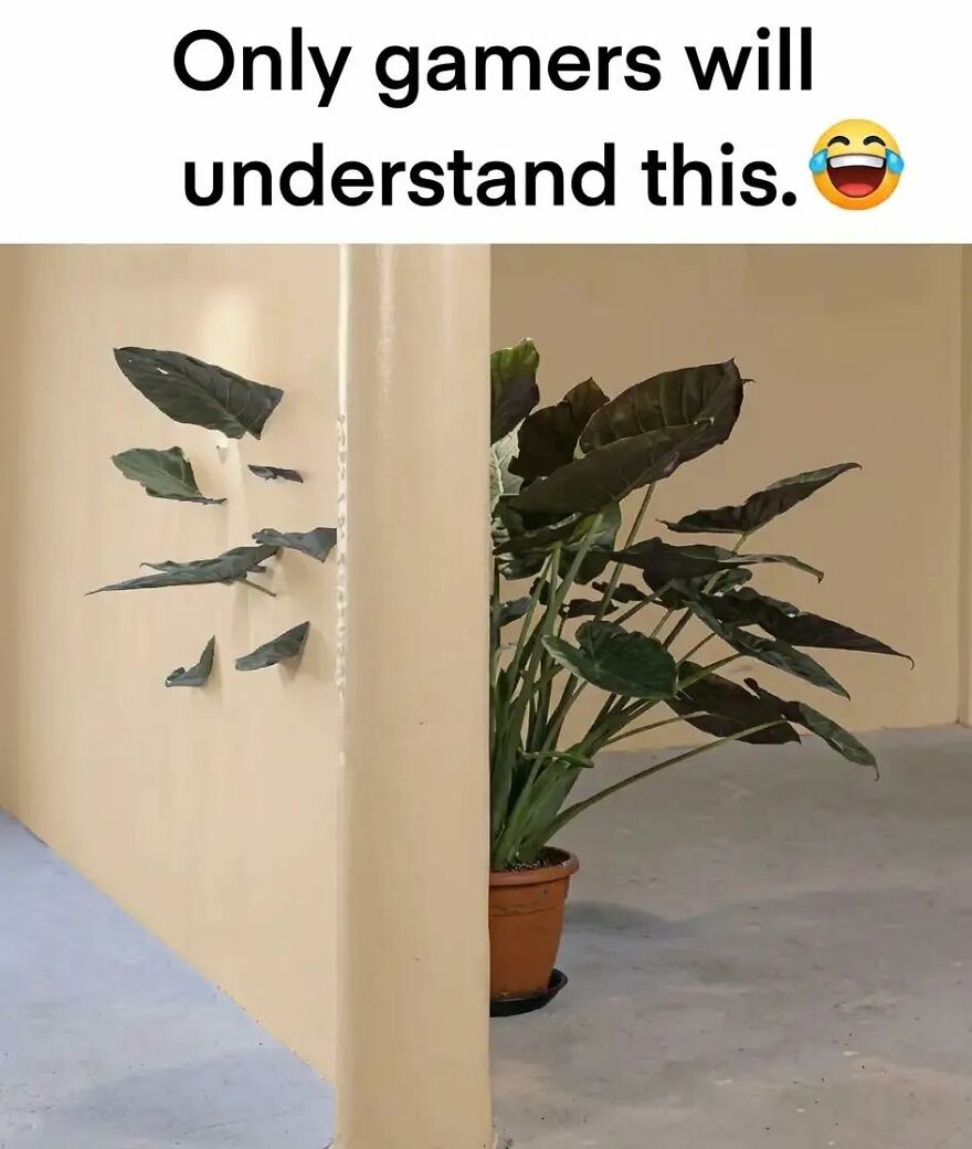 Humorous gaming meme showing a potted plant appearing behind a corner with leaves floating, relatable to gamers.