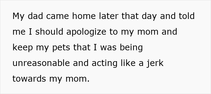 Text on white background describing a teen&rsquo;s struggle to give gifted chinchillas proper care despite mom&rsquo;s disapproval.