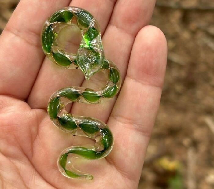Hand holding a small transparent snake-shaped object with green details symbolizing progress and hope in America.