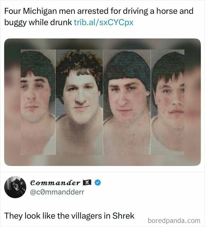 Mugshots of four men who made internet posts that made scrolling way more enjoyable with humorous content.