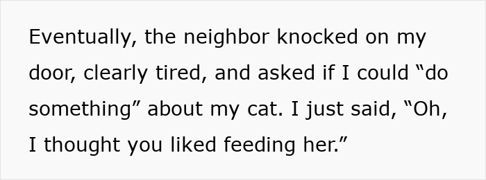 Woman Ignores Warnings About Not Feeding The Neighbors Cat, Learns Her Lesson The Hard Way